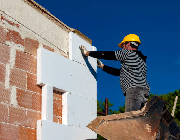 Best Insulation Maintenance and Repair in Brookneal, VA