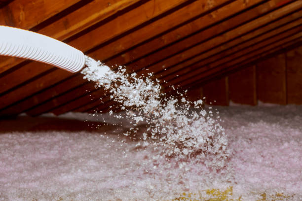 Best Energy Efficiency Solutions in Brookneal, VA